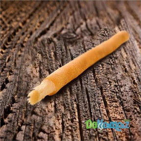 Miswak