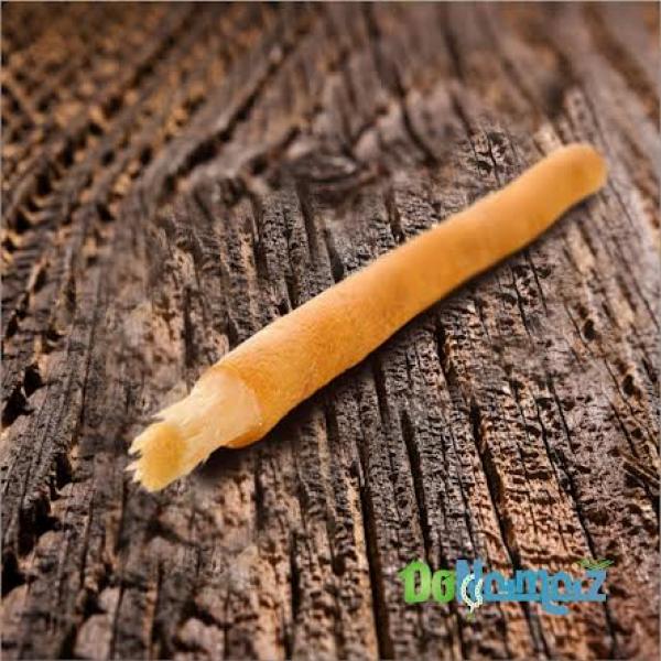 Miswak